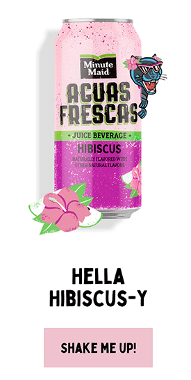 Aguas Frescas Hibiscus juice beverage can 